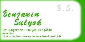benjamin sulyok business card
