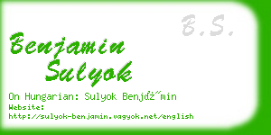 benjamin sulyok business card